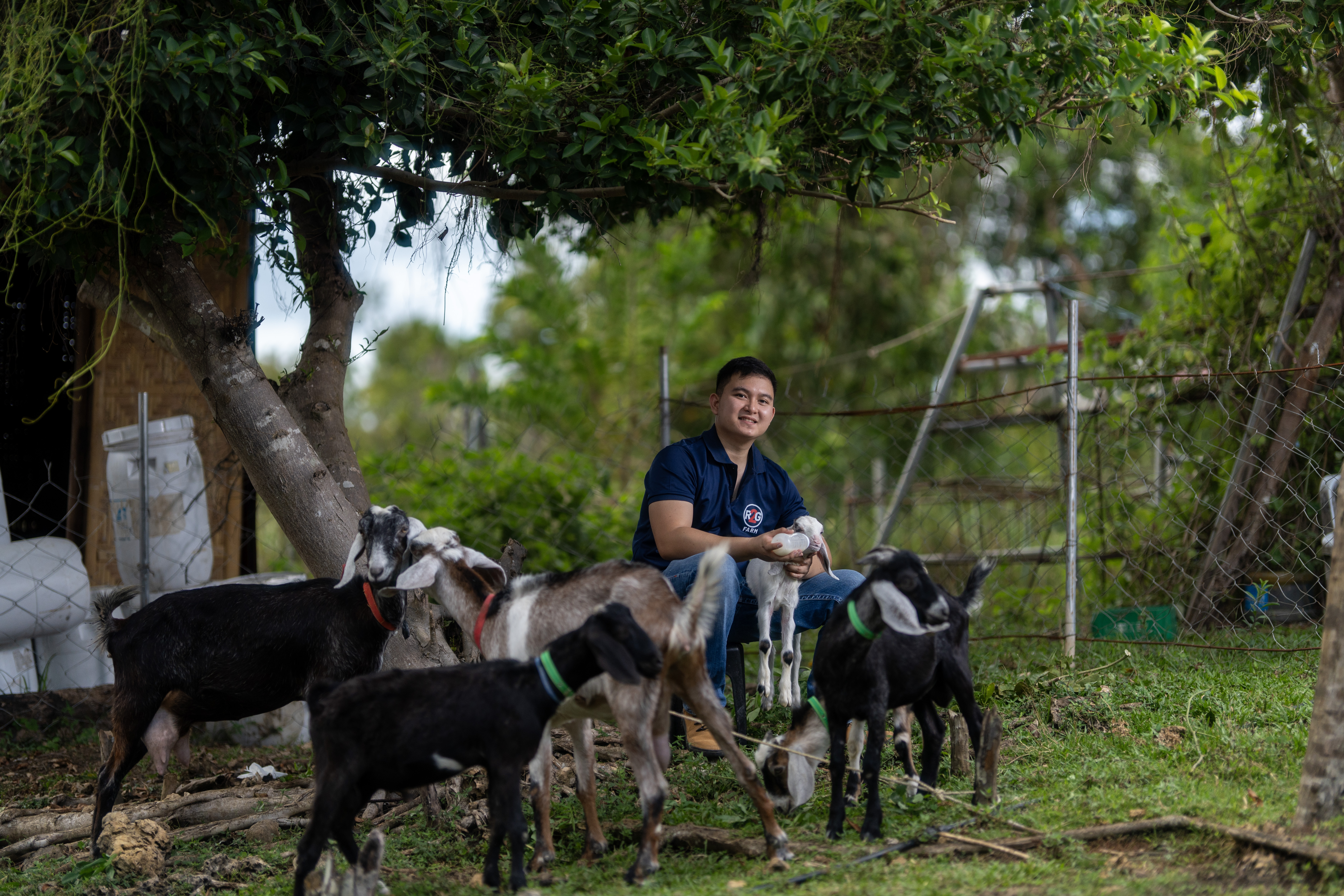 From Mobile Gaming to Goat Farming